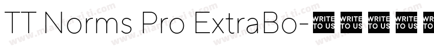 TT Norms Pro ExtraBo字体转换